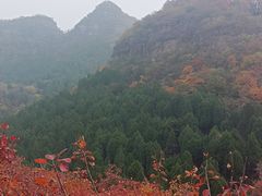-狼牙山风景区
