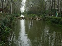 -合肥滨湖国家森林公园