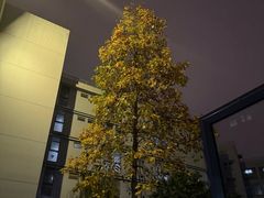 -南京审计大学金审学院-学生第五餐厅