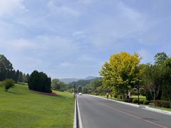 -棒棰岛宾馆景区