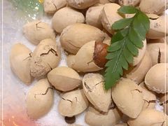 -鮨桐日本料理(望京店)