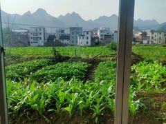 -逢缘柴火农家乐(连南店)