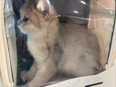 -艾贝尔宠物医院 ·中兽医·宠保定点(北门桥店)