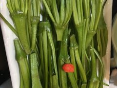 水性杨花-沱江鱼府(丽江店)