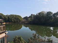-张鸟园农家乐(张鸟园店)