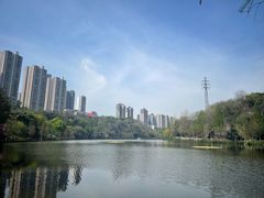 -重庆彩云湖湿地公园