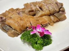 -龙悦湾酒家·八阵鱼生·渔人码头店