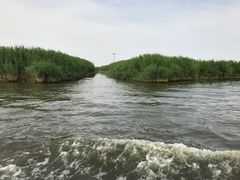 -白洋淀景区