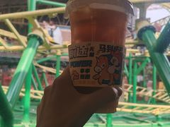 -长鹿旅游休博园