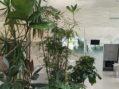 -大树餐厅(红旗街万达店)