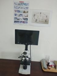 -痘院长·祛痘·皮肤管理