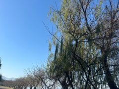 -东钱湖小普陀景区