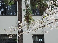 -鸡鸣寺