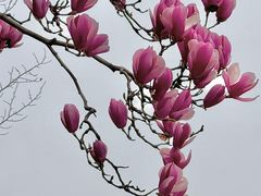 -杨高南路(地铁站)