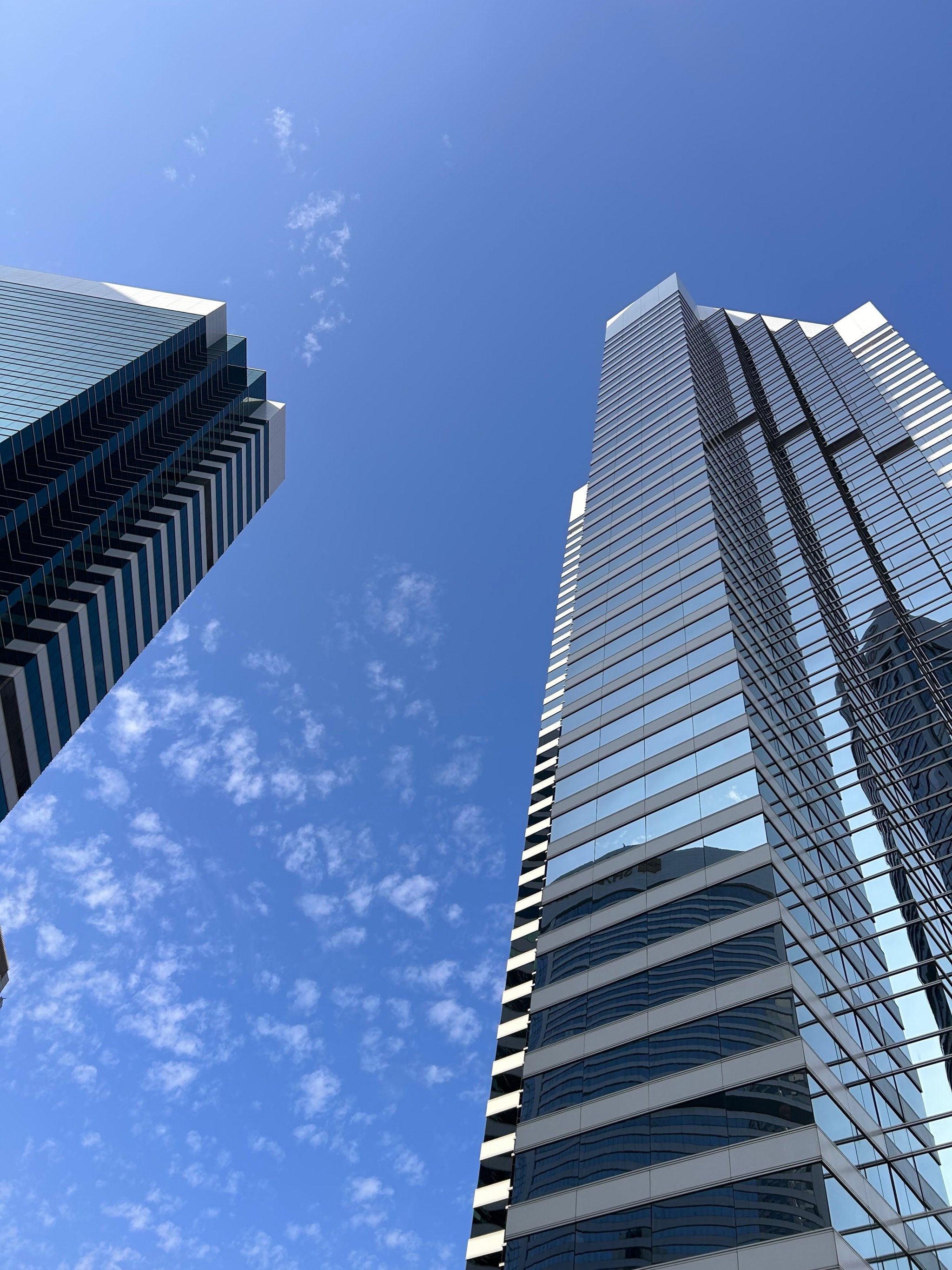 爱在高楼间飞扬