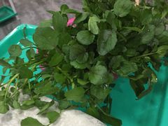 -濠轩阁特色生蚝火锅(水湾路店)