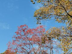 -老门东历史文化街区