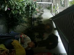 -国生茶庄·地道农家菜团建活动