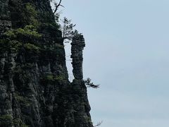 -恩施大峡谷