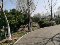 -金银湖国家城市湿地公园