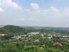 -上海佘山国家森林公园西佘山园