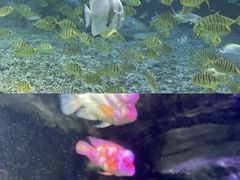 -泉城欧乐堡海洋极地世界