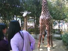 -揭东万竹园旅游景区