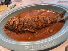 红烧黄河鲤鱼-阿五黄河大鲤鱼(纬三路店)