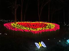 -水上乐园·欢乐世界