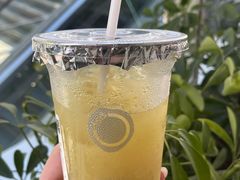 -宝藏绿洲(万象前海店)