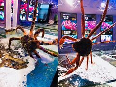 -蟹之国·精品蟹料理(极地店)