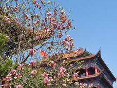 -皇罗禅寺