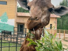 -鄂尔多斯野生动物园