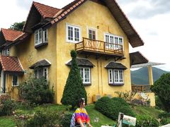 -黄色小屋