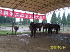 -太阳岛度假酒店