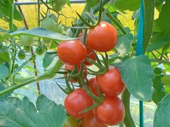 -会稽山峡洞漂流-上青古道