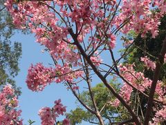 -广州市白云山风景名胜区