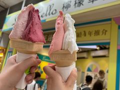 -柠檬车露(卖草地店)