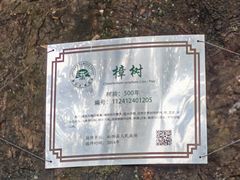 -杨家堂村