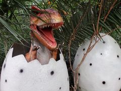 -呀路古热带植物园