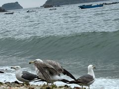 -银沙滩浴场