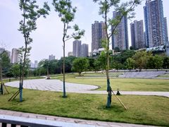 -重庆彩云湖湿地公园