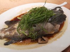 -海儀美食楼(湾仔海鲜街店)
