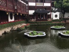 -豫园湖心亭茶楼
