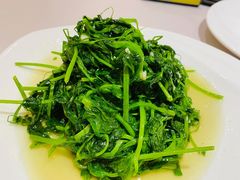 炒豆苗-光明邨大酒家(淮海路店)