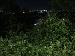 -旗岭森林公园