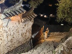 -杨家堂村