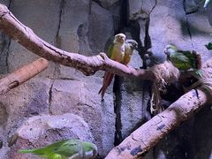 -正佳雨林生态植物园