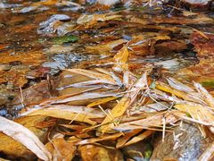 -黄公望隐居地