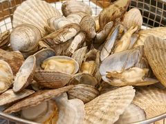 -海味当家·蒸锅海鲜(星海公园店)